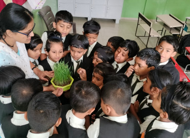 Science Activities